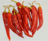 Lombardi Peperoni (Rot – Ganze - Mild)