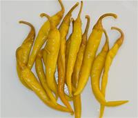 Frenk Pepper (Green - Whole - Hot)